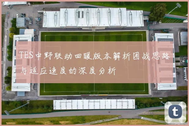 TES中野联动回暖版本解析团战思路与适应速度的深度分析